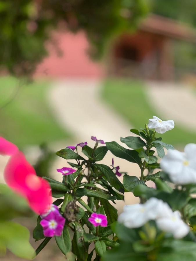 Recanto da Roca Domingos Martins Esterno foto